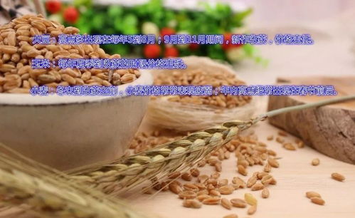 每个品种都有 双11 快来看,给你一张大宗商品二十四节气 剁手图