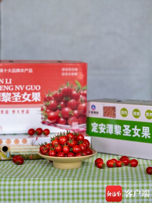 美食品鉴活动 春日特饮 定安潭黎圣女果农旅采摘节等你来玩